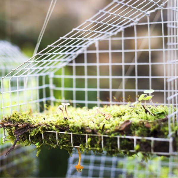 Cinkuotas metalinis tinklas 15x15 mm viela 0.9 mm 122x150 cm (Sidabrinė)