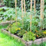 Dekoratyvinė metalinė sodo tvora 98 cm aukščio (Juoda)