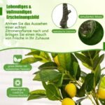 120 cm dirbtinis citrinmedis su 18 citrinų (Žalia)