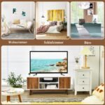 TV staliukas su atvirais ir uždaromais sandėliavimo skyriais (Ruda)