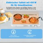 Elektrinis 9 litrų maisto pašildytuvas su temperatūros reguliatoriumi (Sidabrinė)