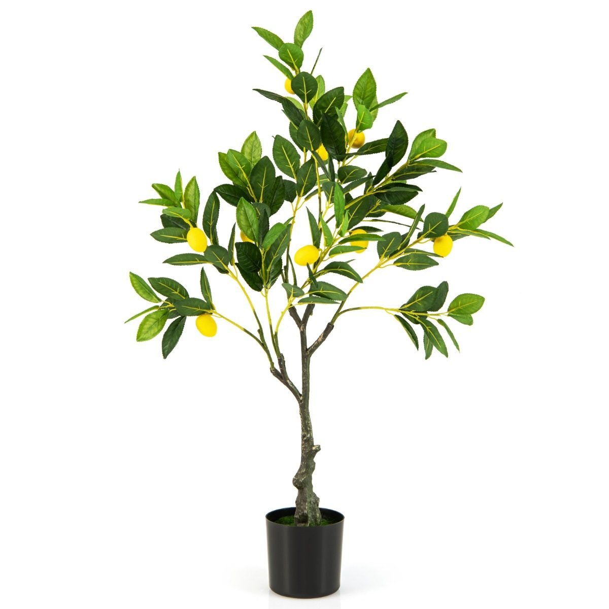 zitronenbaum-limonenbaum-hz10197_1_ 80 cm dirbtinis citrinmedis su citrinomis (Žalia)