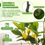 80 cm dirbtinis citrinmedis su citrinomis (Žalia)