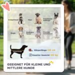 Sulankstomas šunų vežimėlis iki 20 kg