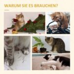 Daugiaaukštė kačių draskyklė su nameliu ir žaislu