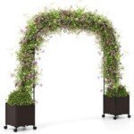 Sodo arka su laistytuvais ir augalų atrama (Ruda)