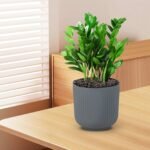 Dekoratyviniai lauko vazonai (2 vnt.) (Pilka)