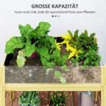 Medinė aukšta lysvė su akrilinėmis šoninėmis plokštėmis
