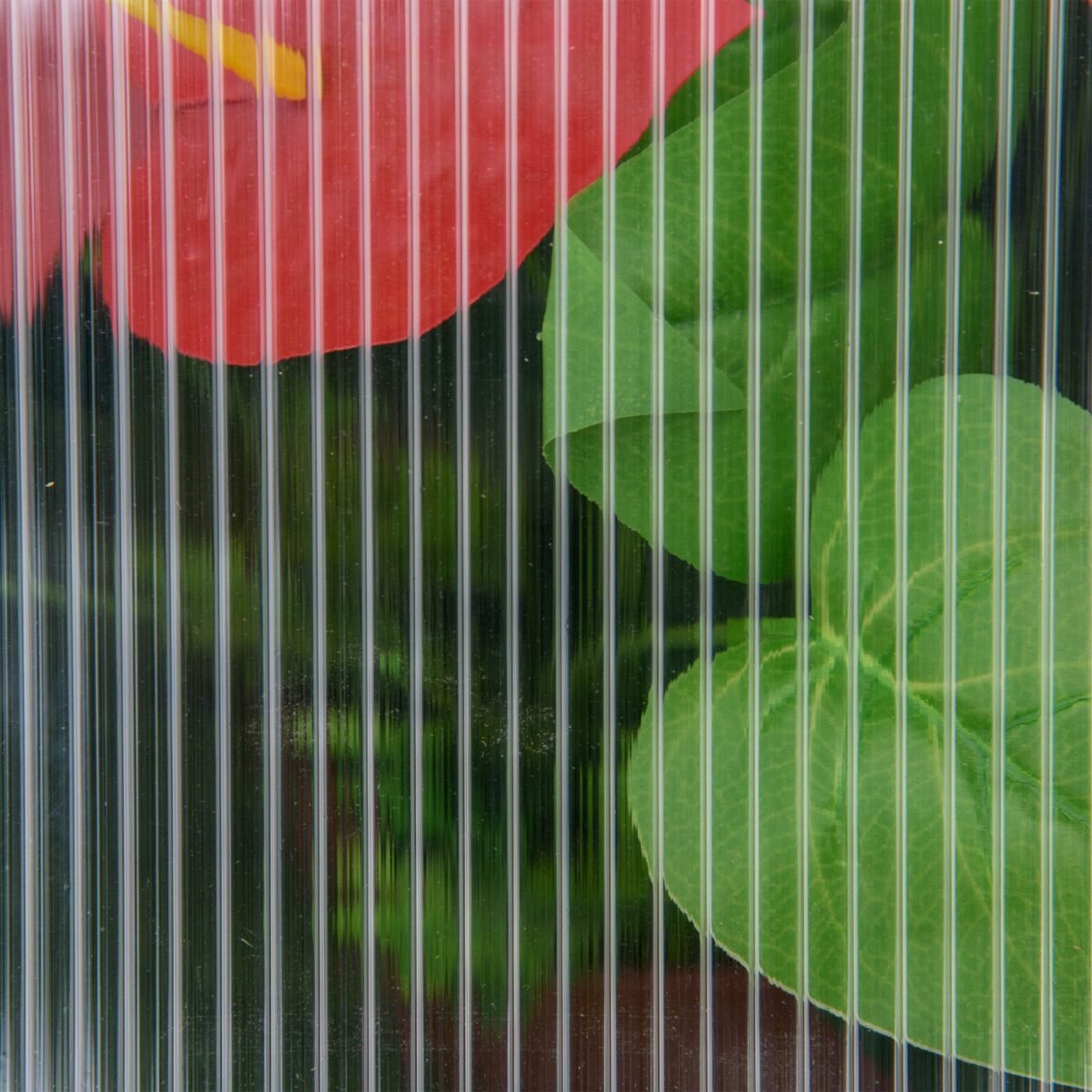 Kompaktiškas šiltnamis su polikarbonato plokštėmis ir reguliuojamu stogu