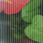 Kompaktiškas šiltnamis su polikarbonato plokštėmis ir reguliuojamu stogu