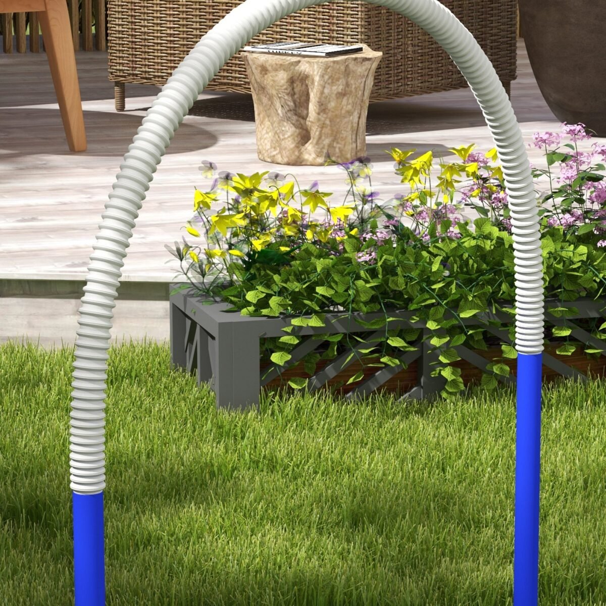 Šunų Agility rinkinys pradedantiesiems su 4 lankais