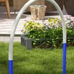 Šunų Agility rinkinys pradedantiesiems su 4 lankais