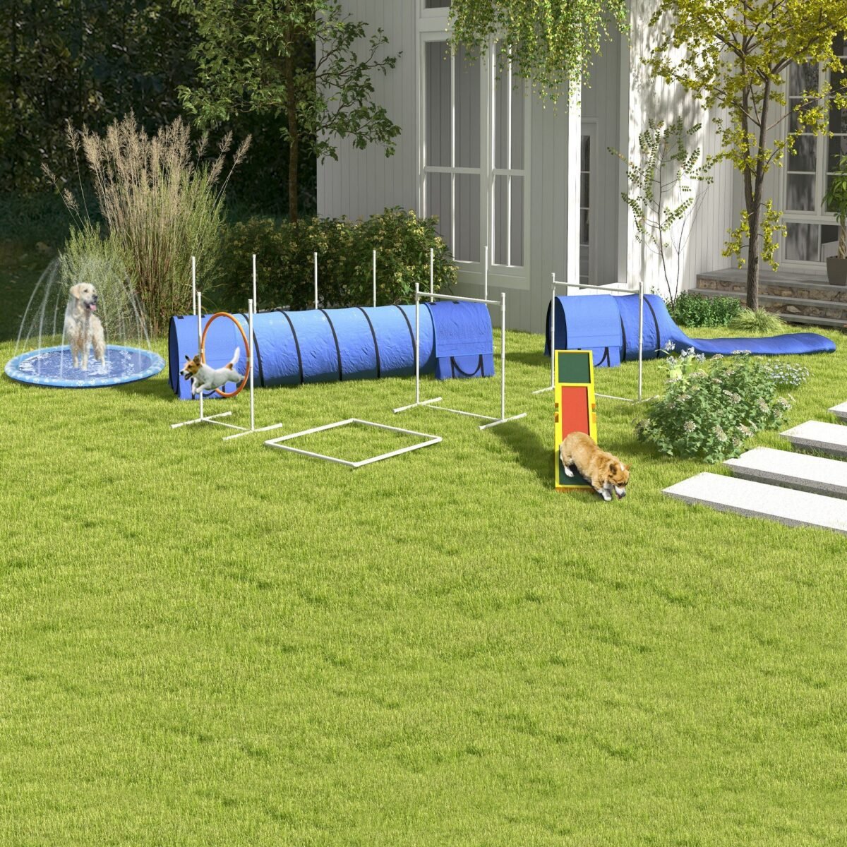 Šunų vikrumo treniruočių rinkinys su reguliuojamo aukščio kliūtimis ir lanku