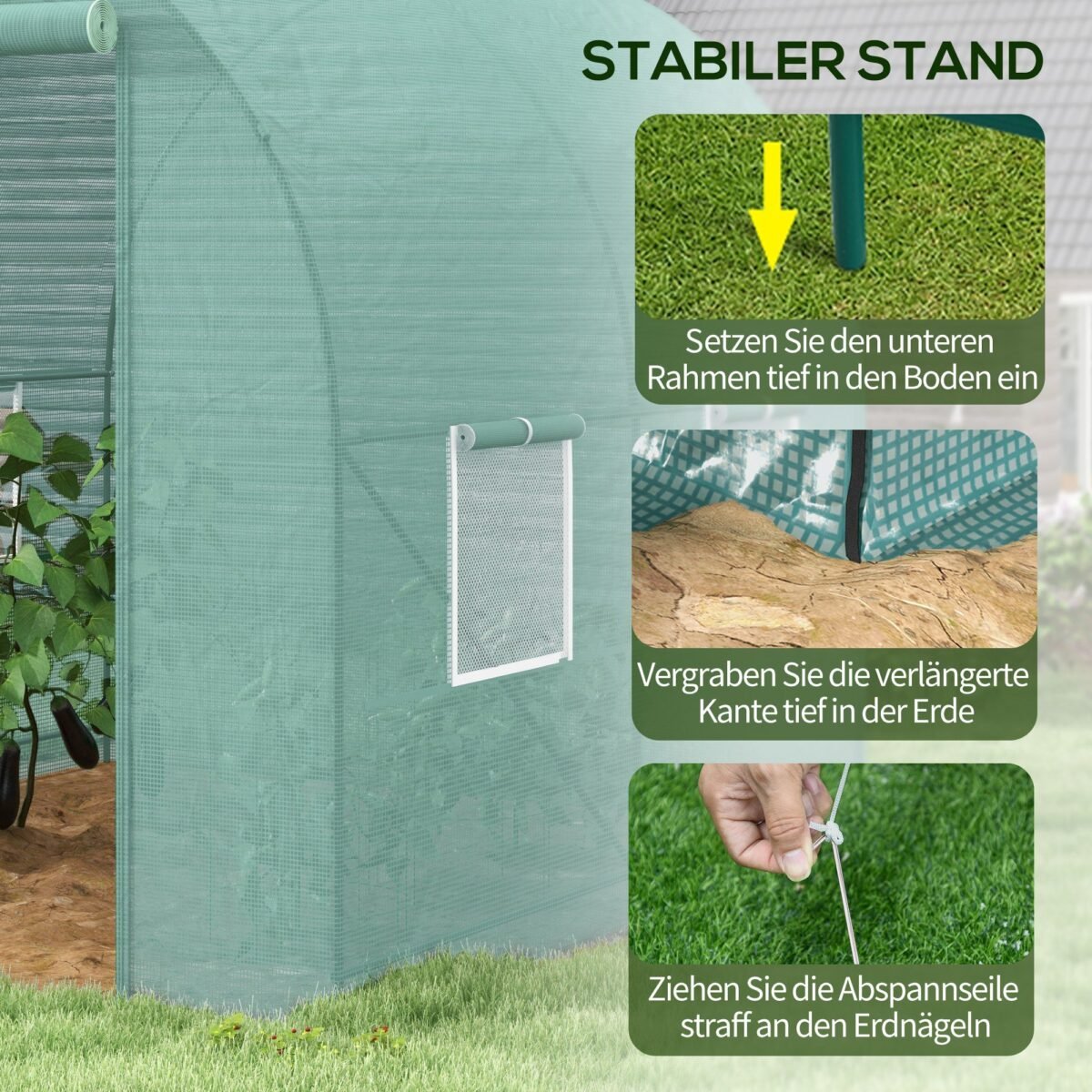 Plėvelinis šiltnamis 245x200x198 cm su cinkuoto plieno rėmu, durimis ir 4 vėdinimo langais