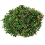 Tikroviškas dirbtinis banjanas vazone 145 cm aukščio