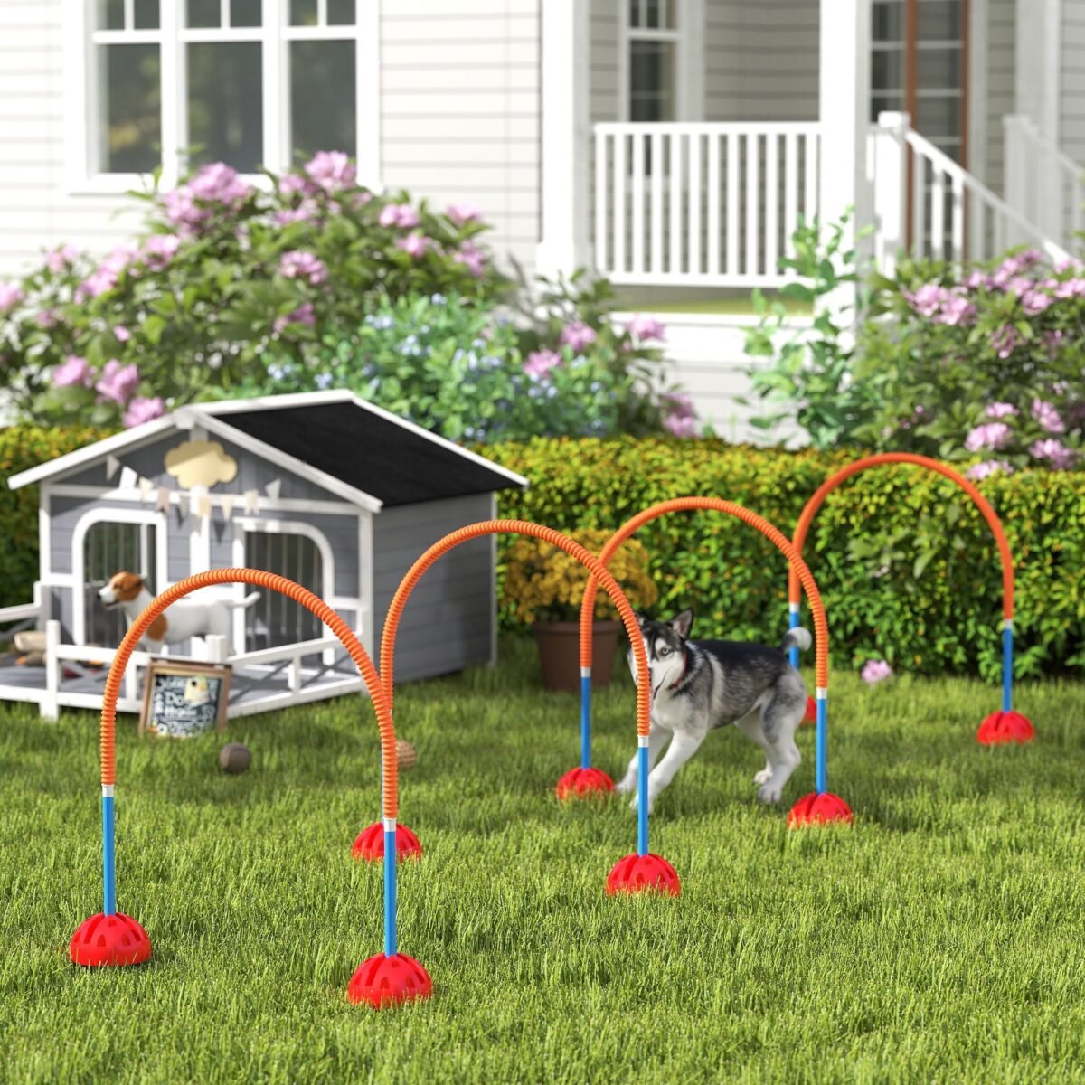 Šunų vikrumo treniruočių rinkinys su 4 reguliuojamo pločio varteliais