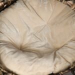 Pintas katės guolis ant kojelių