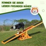 Šunų agility sūpuoklės su neslystančiu paviršiumi atlaikančios iki 50 kg