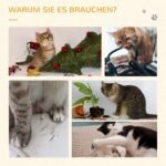 Erdvę taupanti kampinė katės draskyklė