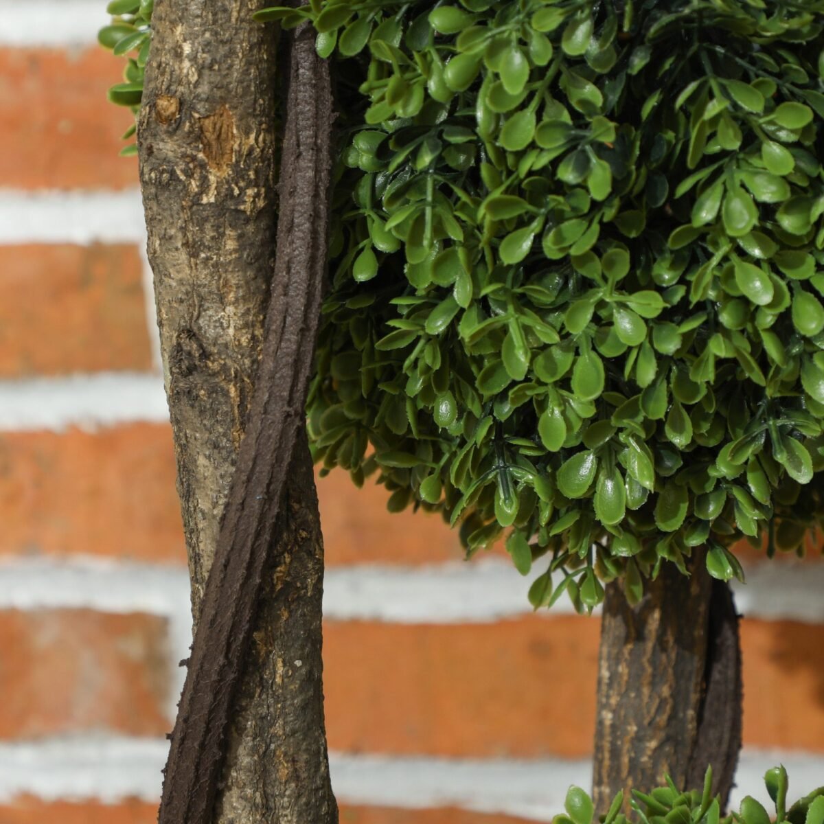 Realistiškas dirbtinis buksmedis vidaus ir laukui