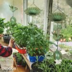 3 dalių metalinių lietaus grandinių rinkinys su kolibriais ir skambančiu varpeliu