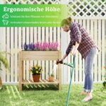 Aukšta lysvė su lentyna daržo reikmenims (Natūrali)