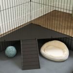 Daugiafunkcis 2-in-1 narvas smulkiems gyvūnams su rampos ir sėdimųjų strypų rinkiniu