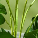 Tikroviškas dirbtinis augalas Monstera Deliciosa 120 cm