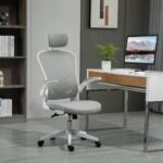 Ergonominė biuro kėdė su supimo funkcija ir atlenkiamais porankiais