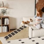 Medinė šunų rampa su neslystančia danga