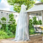 Šiltnamio danga atspari UV spinduliams ir vandeniui 6 x 10 m