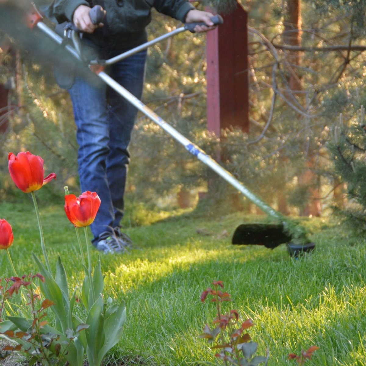 sodo-technika-new-logo