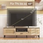 TV spintelė su dviem durelėm ir stalčium (Natūrali)