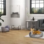 Minkšta šuns sofa su mediniu rėmu