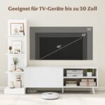 TV spintelė su knygų lentyna ir reguliuojama lentyna (Balta)