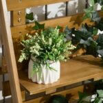 Pakelta lysvė su integruota vijoklinių augalų atrama ir 3 lentynėlėmis