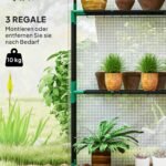 Praeinamas šiltnamis su reguliuojamomis lentynomis