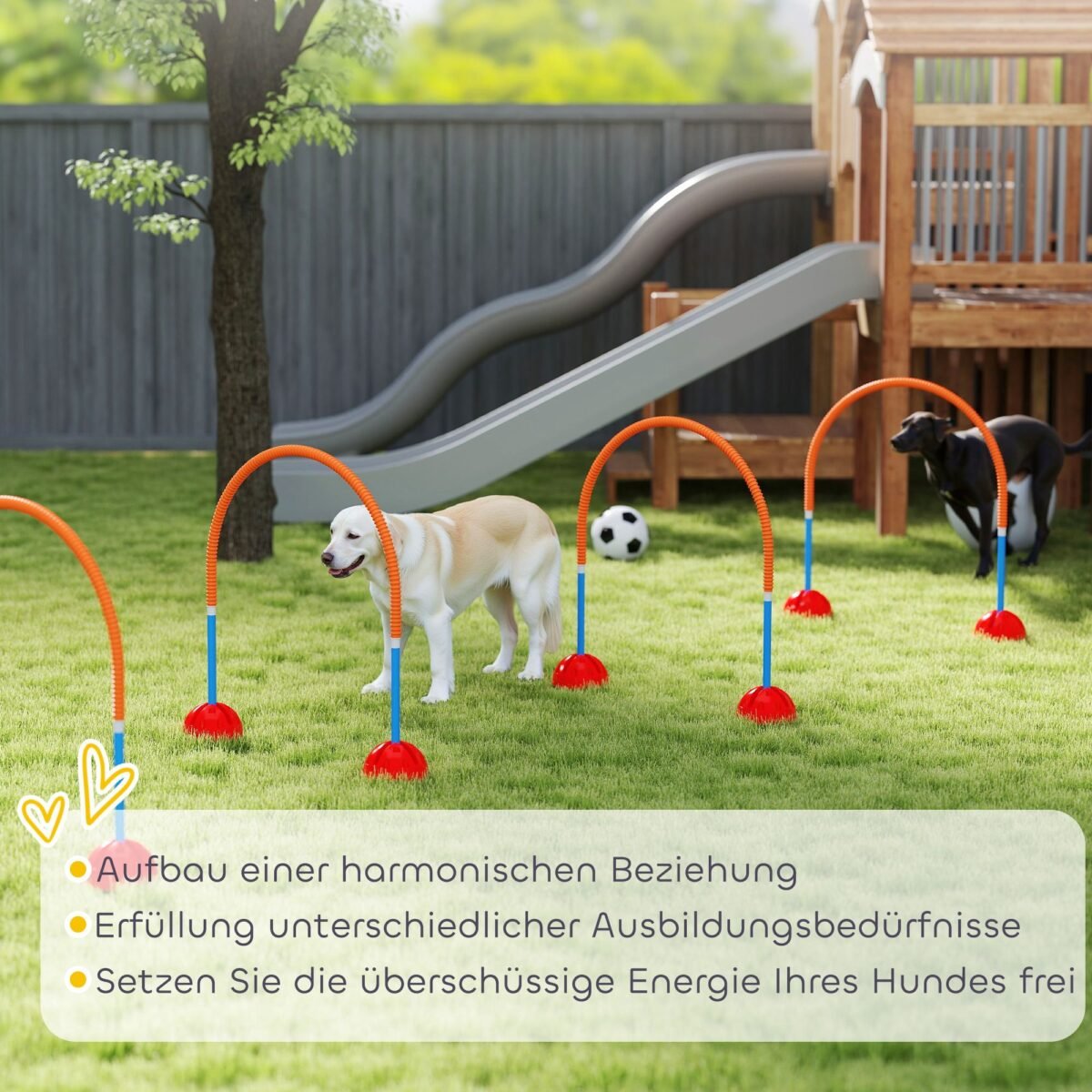 Šunų vikrumo treniruočių rinkinys su 4 reguliuojamo pločio varteliais