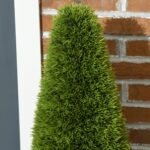 Dirbtinių kiparisų rinkinys, 2 vnt., 90 cm aukščio