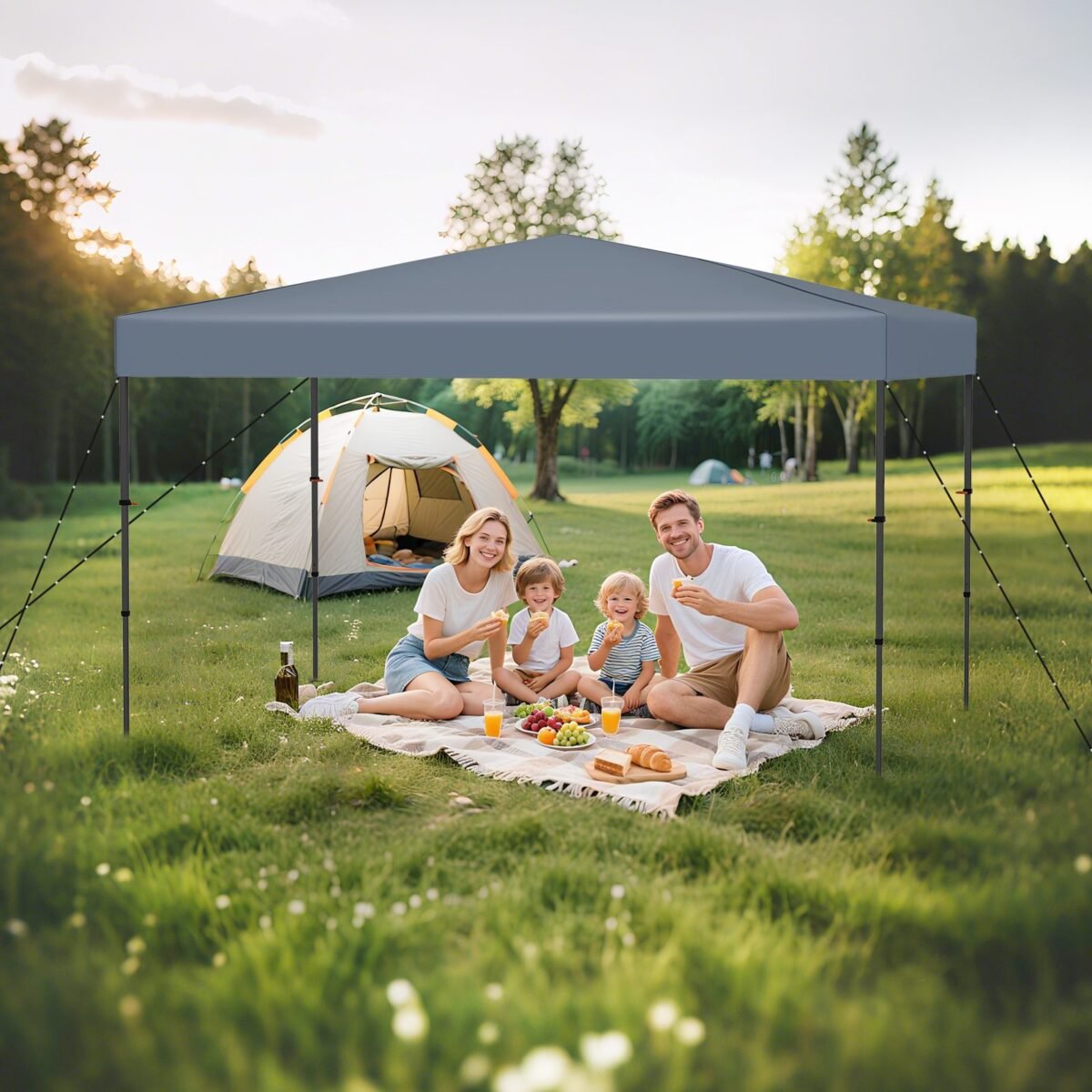 Išskleidžiamoji lauko pavėsinė 365x225 cm (Pilka)