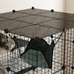 Modulinis daugiapakopis kačių voljeras su aktyvumo zona