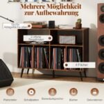 Stovas plokštelių grotuvui su lentynėlėmis (Ruda)