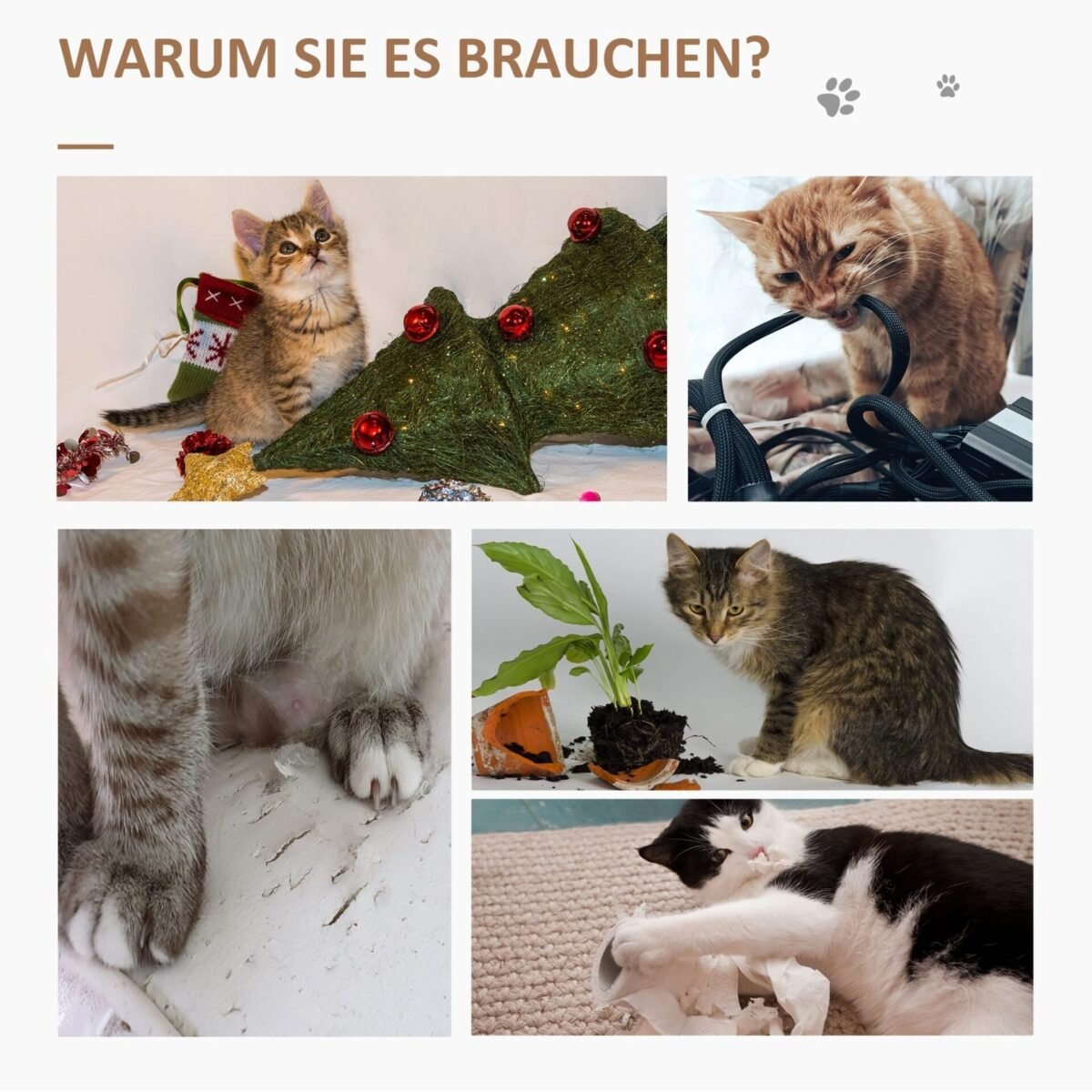 Daugiaaukste-kaciu-draskykle-su-guoliu-ir-zaislais-6