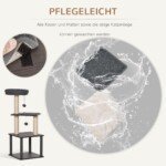 Daugiaaukste-kaciu-draskykle-su-guoliu-ir-zaislais-7