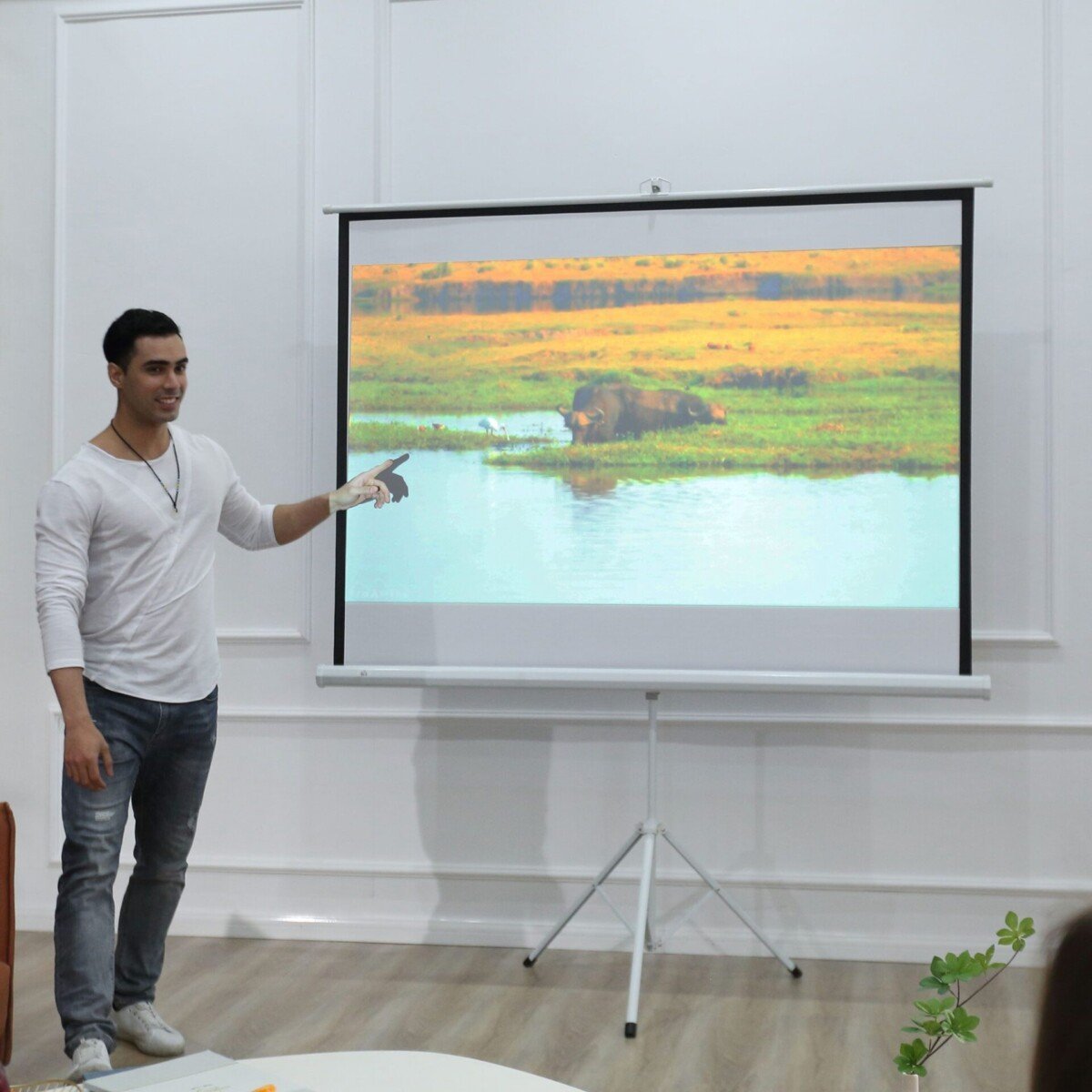 reguliuojamo aukščio