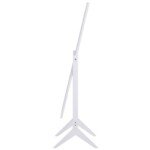 Stovas-su-viso-kuno-veidrodziu-4