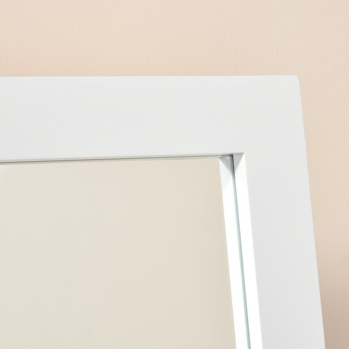 Stovas-su-viso-kuno-veidrodziu-7