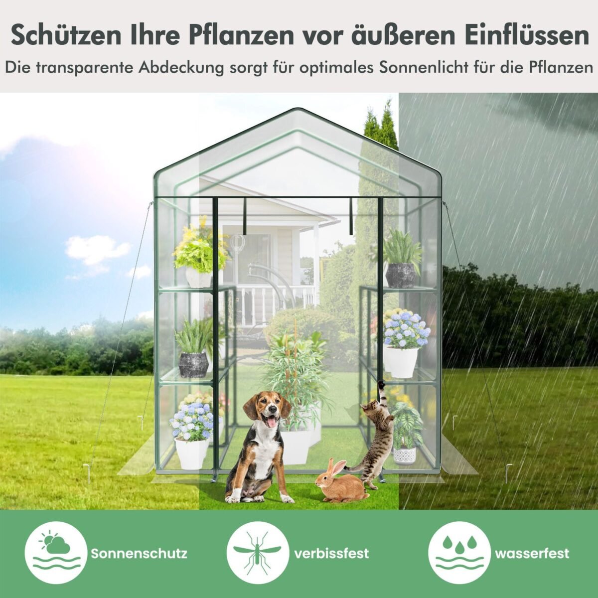 Praeinamas šiltnamis su 4 lentynomis ir 8 padėklais (Permatoma)