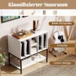 Pastatomas patefono stovas su integruota įkrovimo stotele ir vietos plokštelių laikymui (Balta)