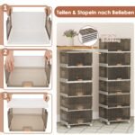 Modulinė ratuota batų laikymo sistema su 6 skyrių (Ruda)